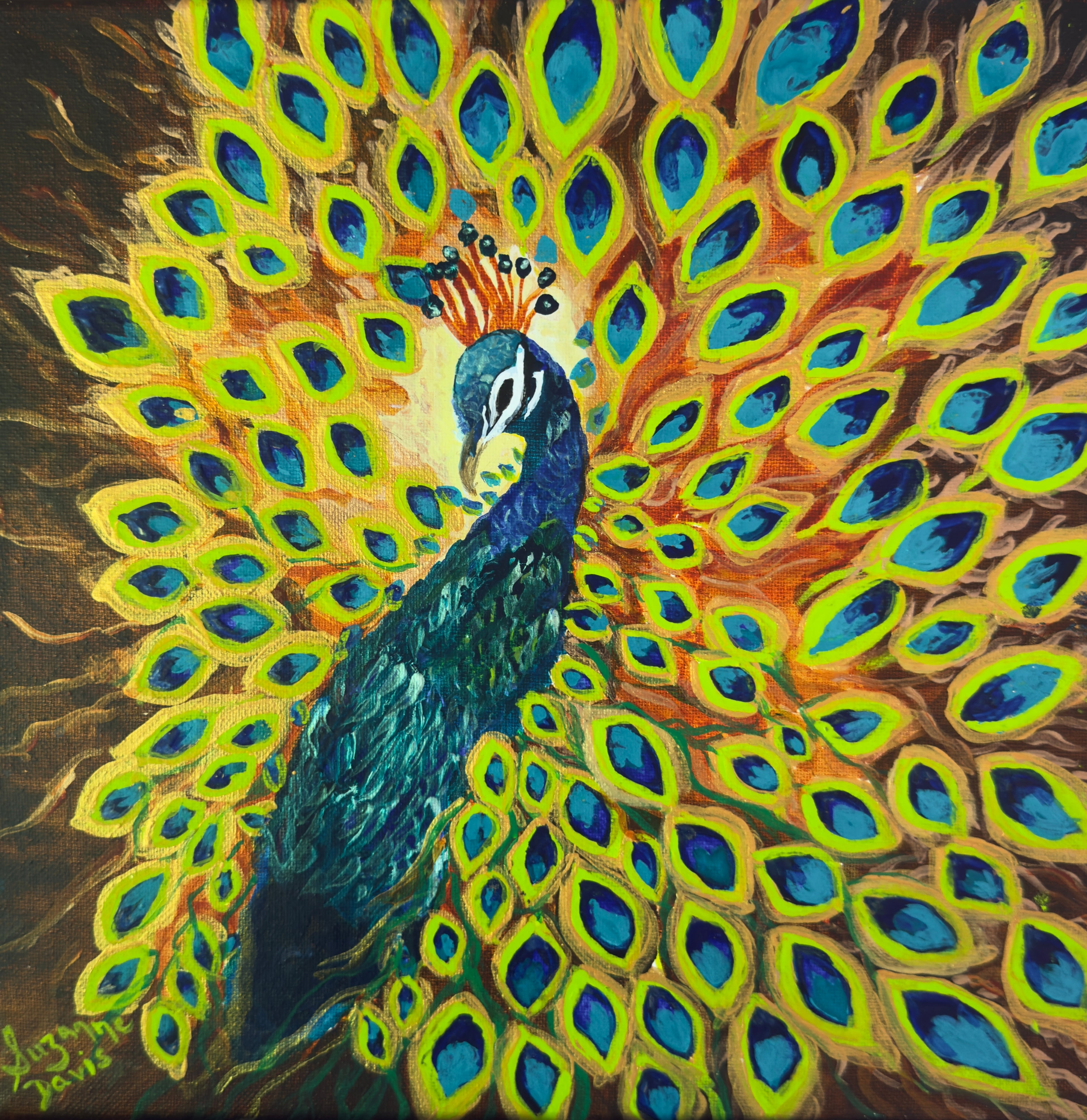 Posing Peacock