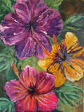 Hibiscus 2