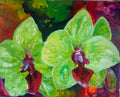 Orchids In Bloom 1